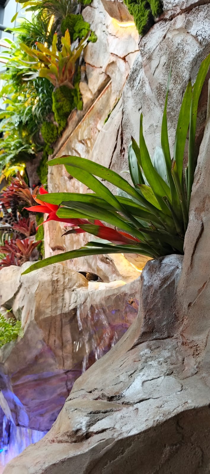 Cascada interior con bromelias y roca tallada